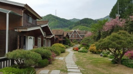 양평에서힐링하고왔네요~^^용문산에들러~~1000년이넘은~은행나무도보고~곤드레쌈밥도먹고왔네요~^주말들잘마무리하시고~~오월도화이팅하자구... 