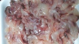 양주댁오늘저녁이에여~고등어김치찜에시엄니가주신회하고맛있게먹겠습니당~다들맛있는저녁드셔요~^^ 