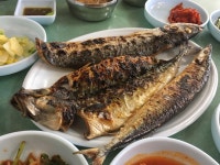 않겠죠..⁉️ 그래도 맛있으니✌🏻 #아주대 #법원사거리 #남해생선구이 수원사시는분들이면 꼭한번가보세요👍🏻 