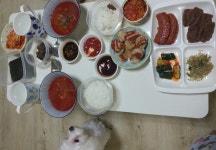없어서 반찬집가서 사오려고 생각중이였는데 남친도 젓갈같은거없냐고... 집에 뭐있어?반찬사갖고갈까? 내일장보러가까?쉬는날같이가자 이러는데... 