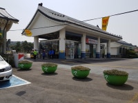 오늘 날이 좋아서 놀러 왔어요 제주경마랜드 