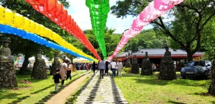 부처님 오신날 너무 복잡해서 절밥도 못 먹고 네러 왔네요 제주 관음사에서 