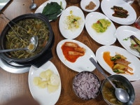 이런 여름반찬 다 기본인데 식당가서 생생내는.. 참놔!집와서 비빔밥 먹고 새벼겐 곰탕에 짝지는 소고기국밥 .. 아침은 열무비빔국수에.. 지금은... 