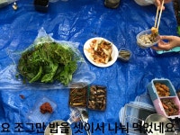 나지만 연신 땀 닦아가며 하행길에 올랐네요. 올라갔던 길하고... 오는길에 저번주에 딸기사온 농장으로 갔어요 딸기사러 딸기가 없어요 올해는... 