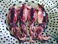 오징어찜~~~~ 통으로 냠냠ㅋㅋㅋ 간만에 낚시 댕겨왔네요ㅡㅋㅋ 찬꺼리 마련했습니다~~~^^ 낚시도 간만이고 만레도 간만이네요~~^^ 