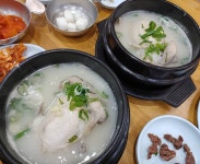 요즘 삼계탕이랑 라면에 빠젔어용 으아 식욕ㅜㅜ 