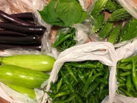 대상포진 예방주사 처방전을 약국에 가져다준게 어언 두달요.... 반은 다남기고요ㅠㅠ. 존경하는분 옆지기언니야가 살짝 건네준 아이세도우와... 