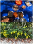오만가지 생각을 하면서 올라갔습니다. 예전에도 내가 젤먼저 레펠에... 비빔국수해서 줬더니 너무 맛있게 먹네요 태레비보는내내 눈꺼플이 나도... 