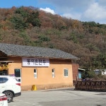 광릉수목원 근처 동이손만두 만두전골 동생이 사줘 맛나게 먹고 봉선사 카페에서 차한잔하고 산책^^ 