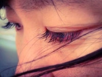 피닉스 파크 호텔 - 트리플 숙소