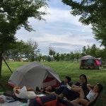 더 카페