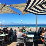 해운대 기와집 대구탕