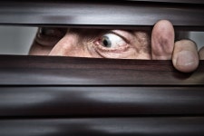 "이혼하고 다른 부인과 살면서 왜?…전처에 꿀 보낸 80대 벌금형"- 헤럴드경제 이혼하고 다른 부인과 살면서...