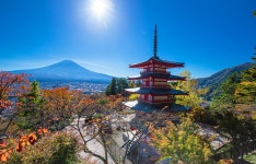 [Shizuoka] Arakurayama Sengen Park, Hikawa Clock Shop, & Oshino Hakkai Day Tour and JR Pass for Whole Japan (7, 14, 21 Days)... 