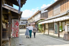 [Tokyo] NIPPON PASS and Round Trip Seibu Kawagoe Pass in Ikebukuro, Tokyo Package - LIVE JAPAN