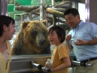 [Hokkaido] Noboribetsu Bear Park Ticket and JR East-South Hokkaido Pass (6 Days) Package - LIVE JAPAN