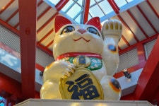 [Aichi] Osu Shopping District Tour with English Speaking Assistant and JR Osaka - Nagoya Ise-Kumano-Wakayama Area Pass（5... 