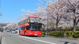 Ginkaku-ji Temple (Jisho-ji Temple) (Ginkakuji Temple, Nanzenji Temple|Temples) - LIVE JAPAN