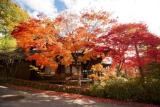 [Nagano] Half-Day Walking Tour: Takayama’s Hidden Gems & Temple Walk - LIVE JAPAN