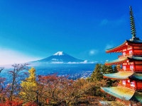 [시즈오카] One-day tour of Mount Fuji and Lake Kawaguchi with internet celebrities｜Kawaguchiko Tenjoyama Park + Oshino Hakkai... 