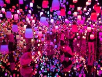 [도쿄] Best of Tokyo in One Day – Culture, Food & Landmarks Tour - LIVE JAPAN (일본여행정보사이트) [도쿄] Best of Tokyo... 