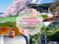 【2025年】京都のおすすめ桜名所10選！桜の見頃や花見期間、種類も紹介 - LIVE JAPAN (日本の旅行・観光・体験ガイド) 【2025年】... 