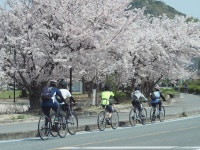 広島 ウォーキング & サイクリング - LIVE JAPAN (日本の旅行・観光・体験ガイド) 広島 ウォーキング & サイクリング - LIVE JAPAN
