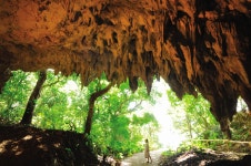 [Okinawa] Southern Okinawa Sightseeing / Half-Day Bus Tour【RADO OSB】 - LIVE JAPAN