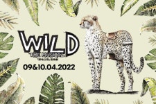 WILD | The Musical
