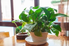 저우산시 Summer Village | 2025년 최신 가격 & 프로모션 - 클룩 Klook 대한민국