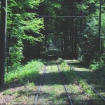 Fannie Instagram 채널 분석 보고서 - NoxInfluencer