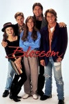 Blossom Pictures | Rotten Tomatoes Blossom Pictures