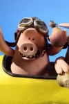 Pig Swill Fly Pictures | Rotten Tomatoes Pig Swill Fly Pictures