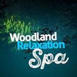 Forest Sounds Relaxing Spa Music Singing Birds on TIDAL Forest Sounds Relaxing Spa Music Singing Birds