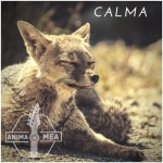 Calma by Anima Mea on TIDAL Anima Mea - Calma