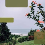 Background Music - Calming Moments by Mellow Sunday Morning Music on TIDAL Mellow Sunday Morning Music - Background Music... 
