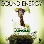 Sound Energy on TIDAL Sound Energy