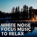 White Noise: Focus Music To Relax by Music For Your Dog on TIDAL Music For Your Dog - White Noise: Focus Music To Relax