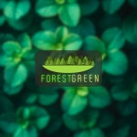 Forest Green on TIDAL Forest Green
