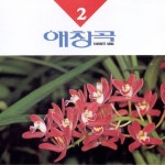 애창곡 2 FAVORITE SONG 2 / Various Artists - TIDAL Various Artists - 애창곡 2 FAVORITE SONG 2