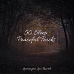 50 Chillout Melodies for Reiki & Relaxing by Bedtime Baby on TIDAL Bedtime Baby - 50 Chillout Melodies for Reiki & Relaxing