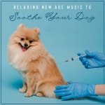 Relaxing New Age Music to Soothe Your Dog - Calm Your Dog Before Vaccination by Stress Relief Calm Oasis on TIDAL Stress Relief... 