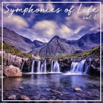 41 - Bruckner: Sinfonie Nr.7 arr. Stein, Eisler, Rankl by Linos Ensemble on TIDAL Linos Ensemble - Symphonies of Life, Vol. 41... 
