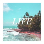 Life by L.I.F.E. on TIDAL L.I.F.E. - Life
