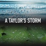 Thunder Over Scotch Fir by Rain Hard on TIDAL Rain Hard - Thunder Over Scotch Fir