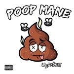 Falling In Love by Poopmane on TIDAL Poopmane - Falling In Love