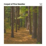 Carpet of Pine Needles by Nature Sound Series on TIDAL Nature Sound Series - Carpet of Pine Needles