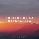 Sonidos de la Naturaleza Premium - Musica Relajante para tu Calma, Tranquilidad y Paz Interior / Musica Romantica & Flauta de Pan... 