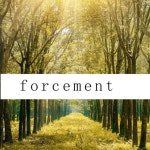 forcement by Scott Martin on TIDAL Scott Martin - forcement