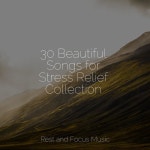 30 Beautiful Songs for Stress Relief Collection by Pet Care Music Therapy on TIDAL Pet Care Music Therapy - 30 Beautiful Songs... 